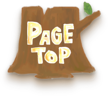 PAGE TOP